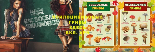 ПСИЛОЦИБИНОВЫЕ ГРИБЫ Аркадак
